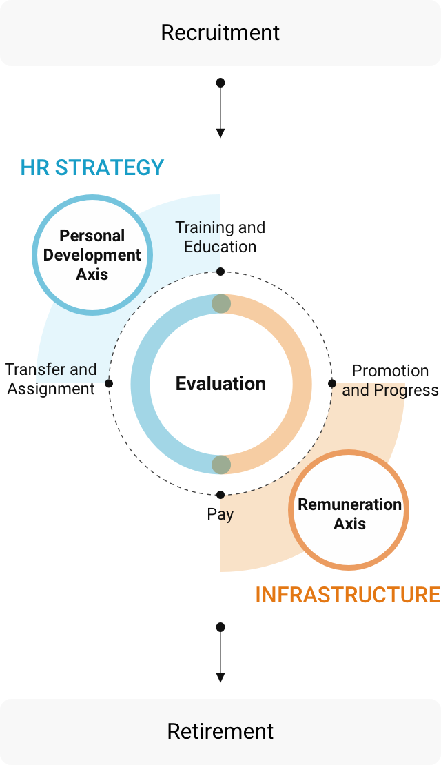 Evaluation and promotion process