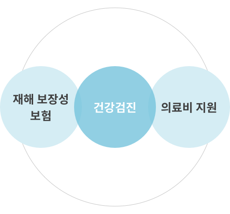 건강검진, 재해 보장성 보험, 의료비 지원